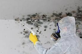 Best Mold Damage Restoration  in Tappan, NY